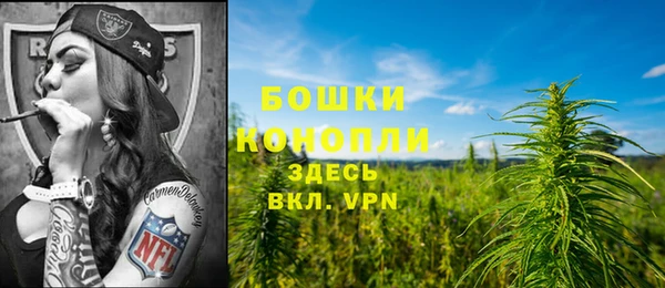тгк Волосово