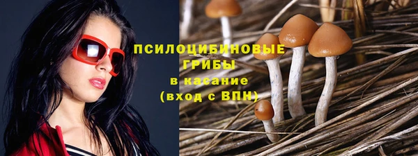 тгк Волосово