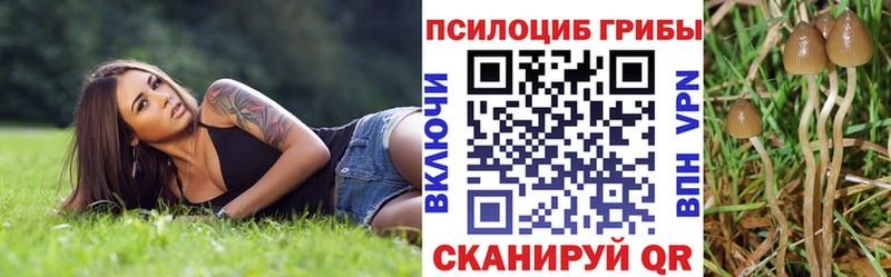Купить где  Красноуфимск  Псилоцибиновые грибы Psilocybe 